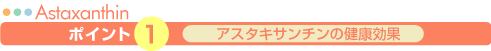�A�X�^�L�T���`���̌��N����