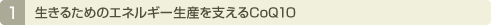 �����邽�߂̃G�l���M�[���Y���x����CoQ10