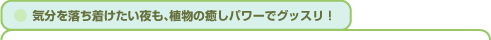 気分を落ち着けたい夜も、植物の癒しパワーでグッスリ!