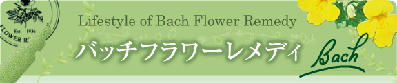 バッチフラワーレメディ