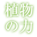 �A���̗�