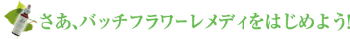 �����A�o�b�`�t�����[�����f�B���͂��߂悤�I