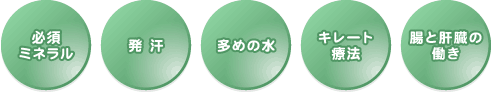 �f�g�b�N�X�@�T�v�������g��ō�p