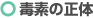 �őf�̐���