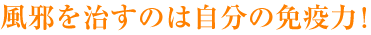 ���ׂ������͎̂����̖Ɖu�́I