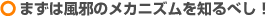 �܂��͕��ׂ̃��J�j�Y����m��ׂ��I