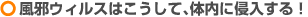 ���׃E�B���X�͂������āA�̓��ɐN������I