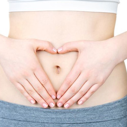おなかの健康を応援する微生物 定番のプロバイオティクスを徹底解説!