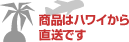 DMAE�ȂǃT�v�������g