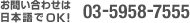 ���₢���킹�͓��{���OK! 03-5958-7555