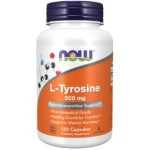  �m �����T�C�Y �n  L�`���V�� 500mg