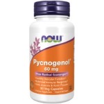 �s�N�m�W�F�m�[�� 60mg�i�t�����X�C�ݏ�����G�L�X/�A�Z���������`���z���j