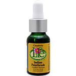 Living Flower Essences �C���f�B�A���y�C���g�u���V �t�����[�����f�B�i�Ƒn���E�C���X�s���[�V�����j