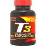 T3�i�O�O���X�e���� �t�@�b�g�o�[�i�[�j