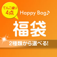 �v���[���g