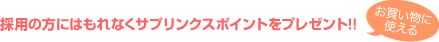 �̗p�̕��ɂ͂���Ȃ��T�v�����N�X�|�C���g���v���[���g!!