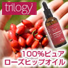 �g�����W�[ ���[�Y�q�b�v�I�C��
