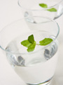 �{�f�B �~���g �N�����t�B���@Body Mint 