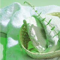 �{�f�B �~���g �N�����t�B���@Body Mint 