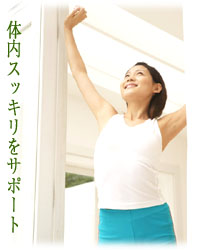 大麦若葉 青汁 健康ドリンク