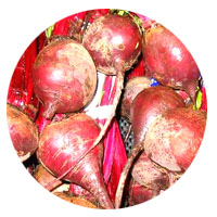 <a href=http://px.a8.net/svt/ejp?a8mat=ZUWOO+5GHBO2+DMU+BWGDT&a8ejpredirect=http%3A%2F%2Fwww%2Esuplinx%2Ecom%2Fshop%2Fgoods%2Fgoods%2Easpx%3Fgoods%3D015%2D10400 target=blank>�ӡ��ȡʥƥ󥵥���</a>