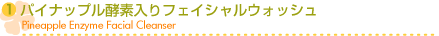 �ѥ��ʥåץ��������ե�������륦���å���