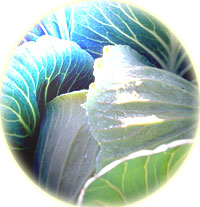 ���e�C�������R�s��