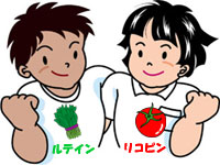 ���e�C�������R�s��