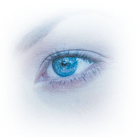 <a href=http://px.a8.net/svt/ejp?a8mat=ZUWOO+5GH7T6+DMU+BW8O2&a8ejpredirect=http%3A%2F%2Fwww%2Esuplinx%2Ecom%2Fshop%2Fgoods%2Fgoods%2Easpx%3Fgoods%3D071%2D03058 target=blank>ルテインエステル</a>