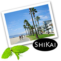 SHIKAI モイスチャライジング シャワージェル(ユズ)