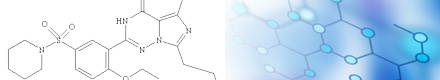 【お得サイズ】LシトルリンSN 500mg
