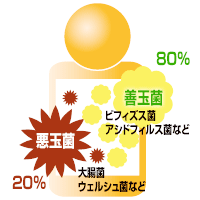<a href=http://px.a8.net/svt/ejp?a8mat=ZUWOO+5GHBO2+DMU+BWGDT&a8ejpredirect=http%3A%2F%2Fwww%2Esuplinx%2Ecom%2Fshop%2Fgoods%2Fgoods%2Easpx%3Fgoods%3D015%2D14240 target=blank>���̶ݥ����ƥ�ʥץ��Х����ƥ�������</a>