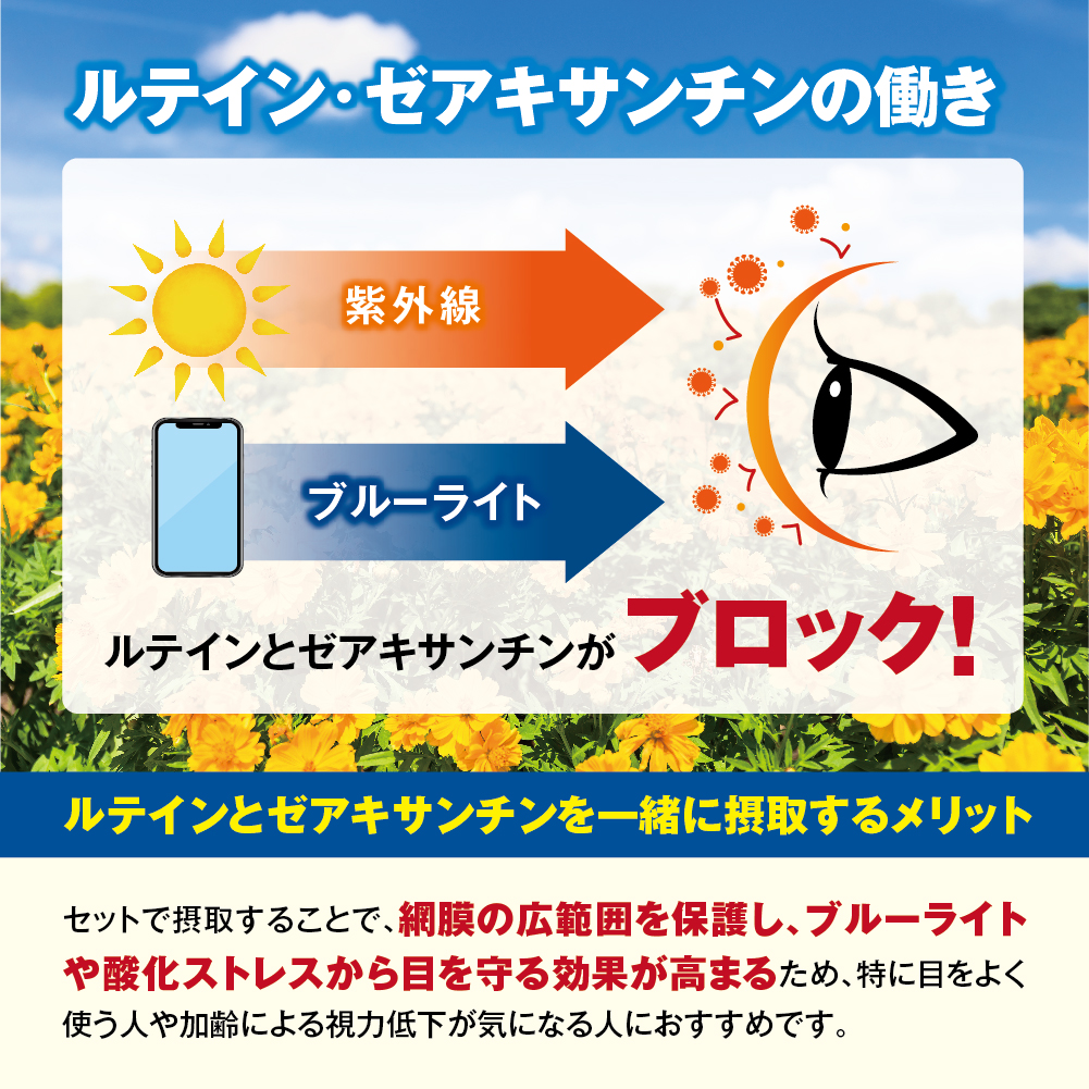 �u����v�u�ǂށv���T�|�[�g����D�����̃Z�b�g