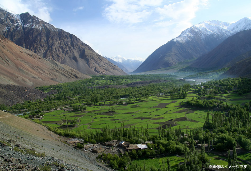 �~�l�������L�x�ȃq�}�����n��