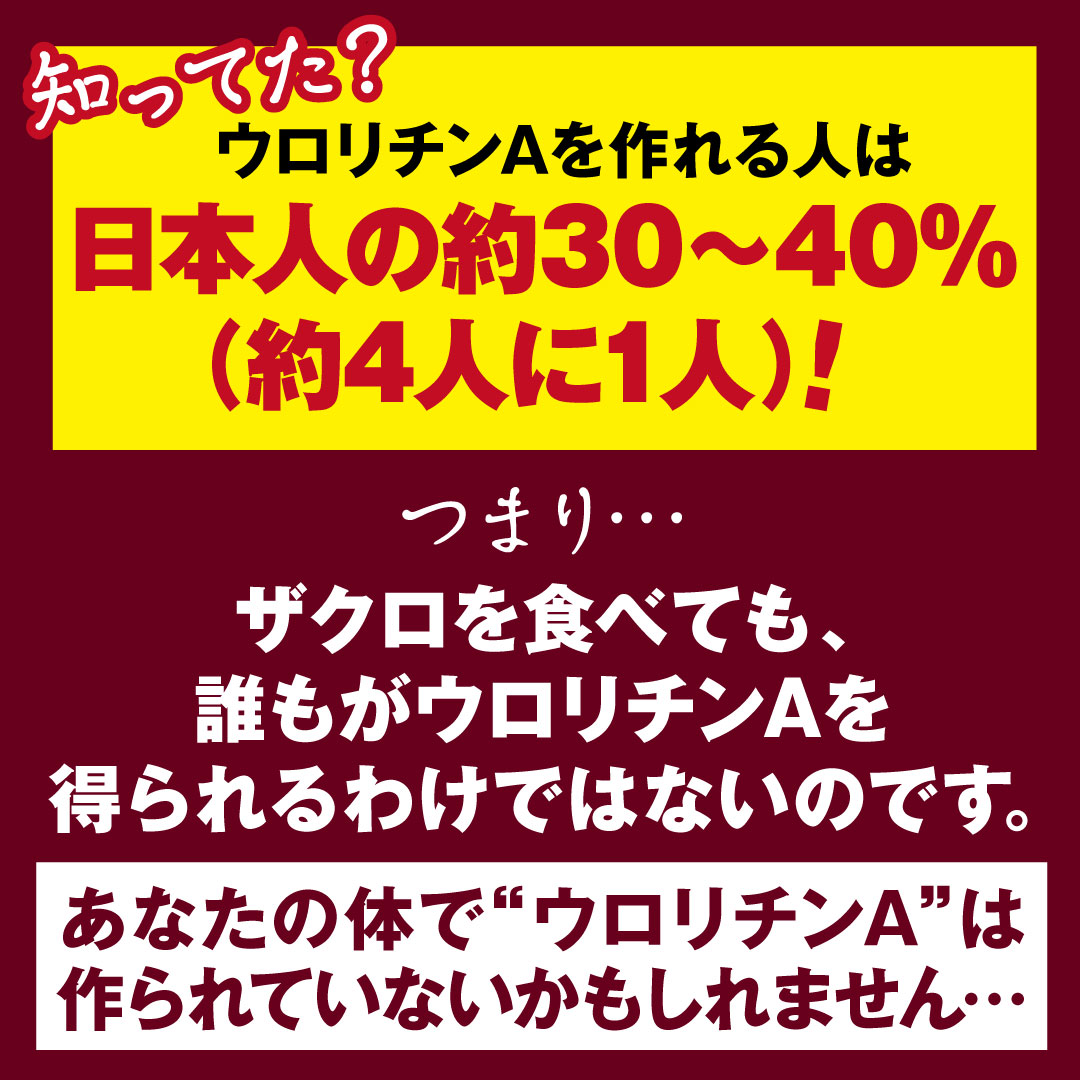 ��i�̉h�{�o�����X��ǋ������A�E�����`��A�z���T�v�������g