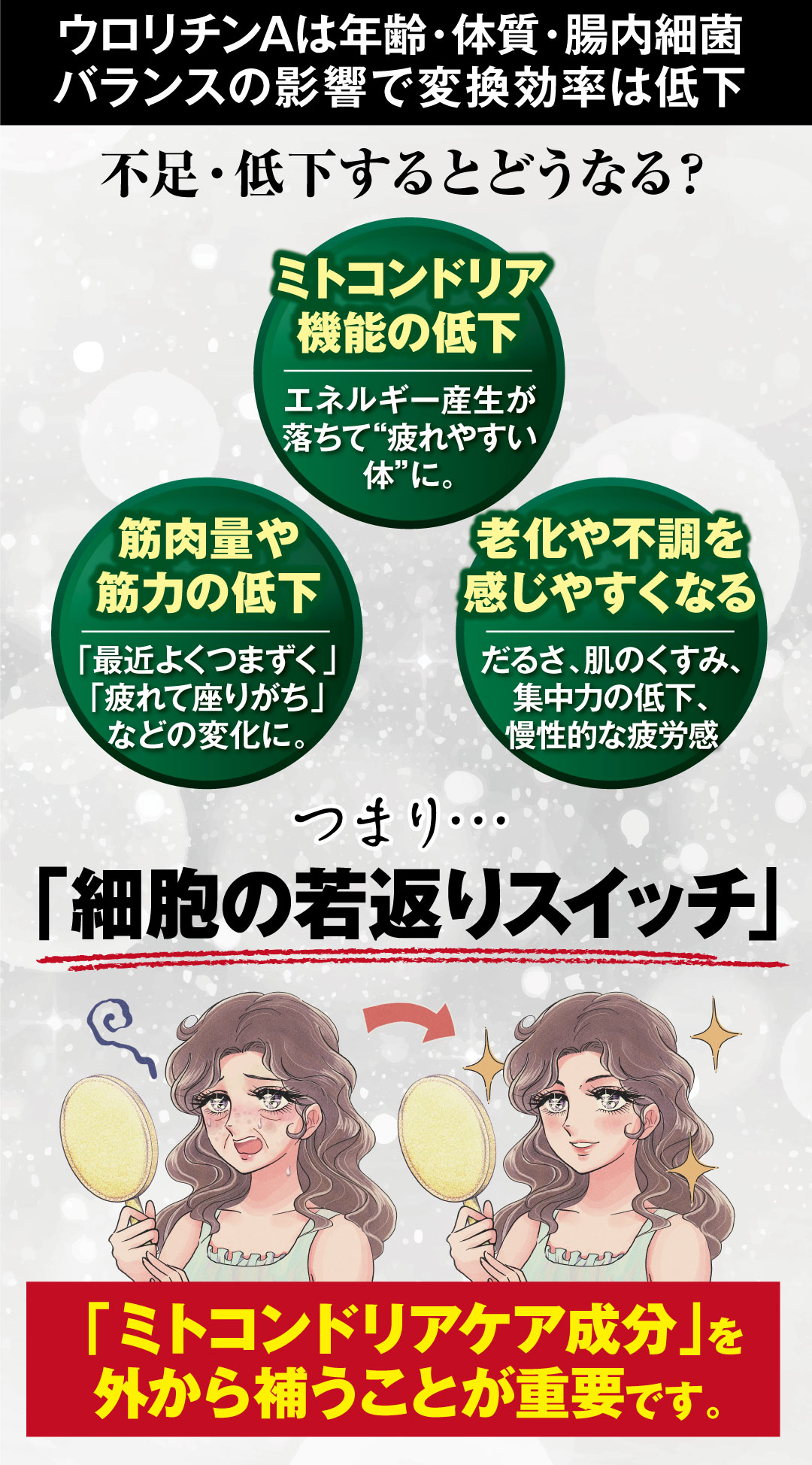 ��i�̉h�{�o�����X��ǋ������A�E�����`��A�z���T�v�������g