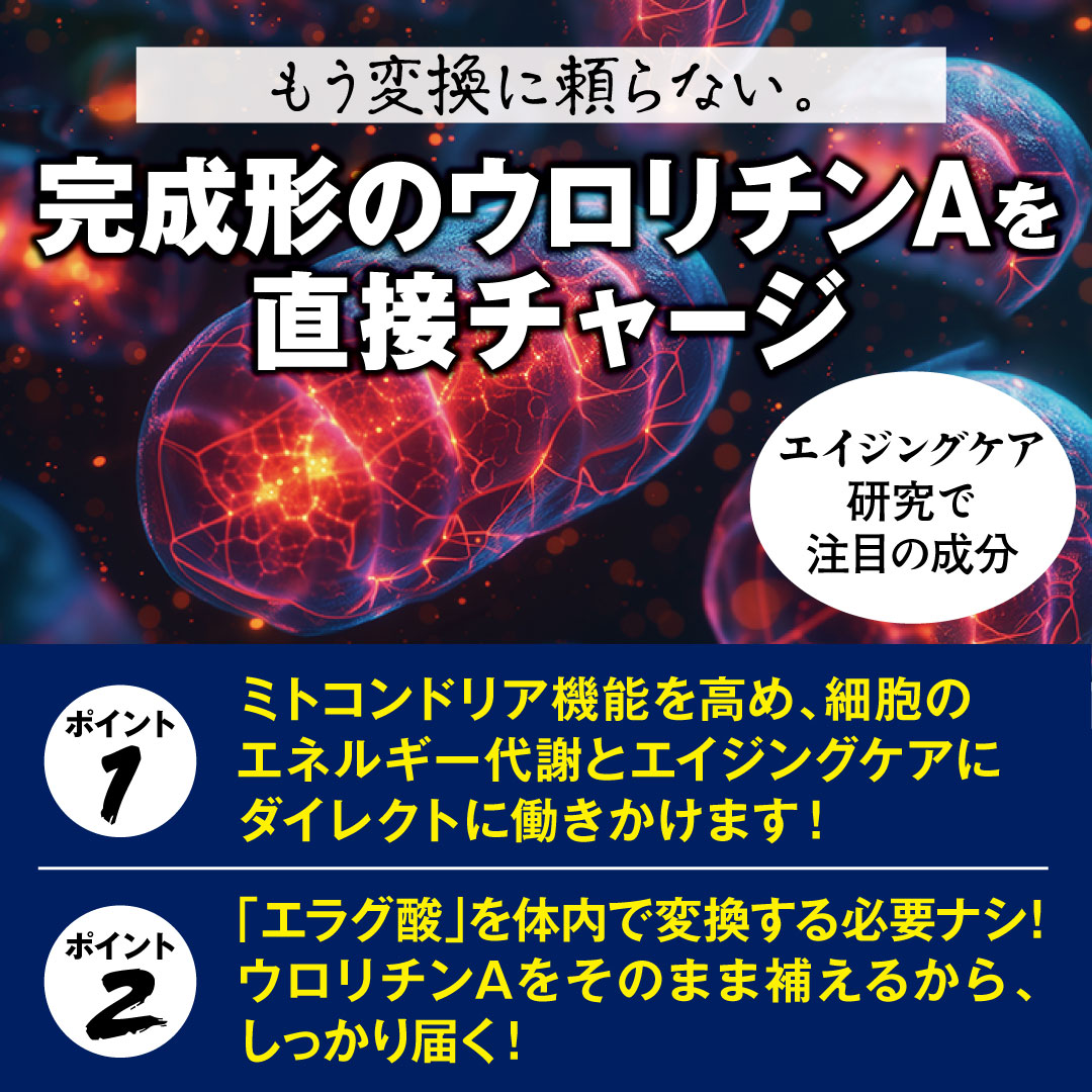 ��i�̉h�{�o�����X��ǋ������A�E�����`��A�z���T�v�������g