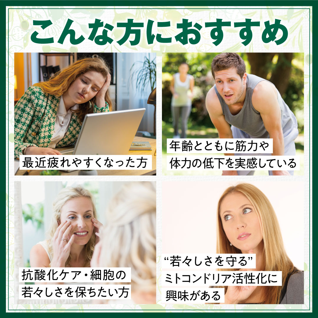 ��i�̉h�{�o�����X��ǋ������A�E�����`��A�z���T�v�������g