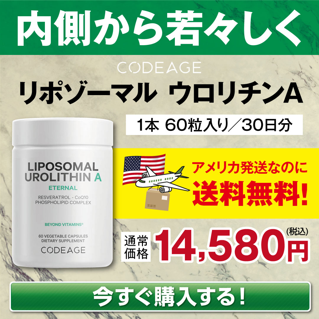 ��i�̉h�{�o�����X��ǋ������A�E�����`��A�z���T�v�������g