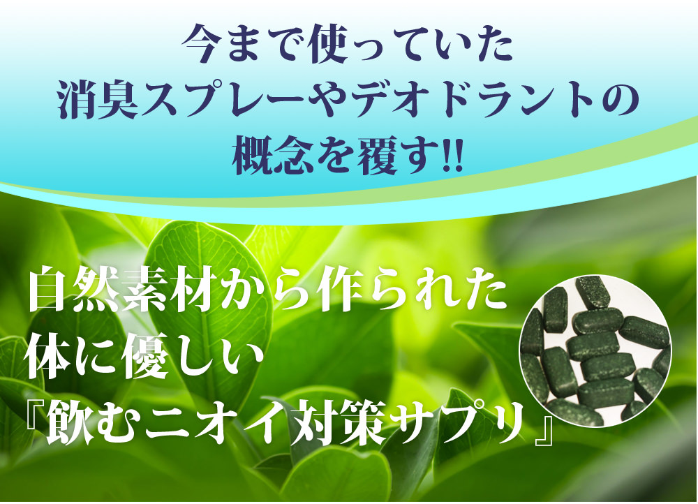 ���܂ł̏��L�X�v���[��f�I�h�����g�̊T�O�𕢂��I