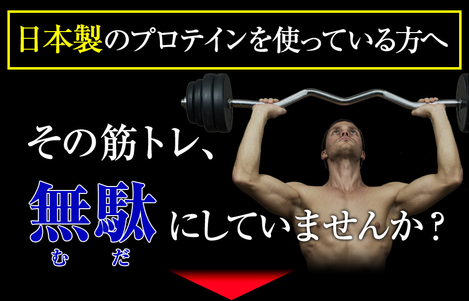 ���{���̃v���e�C�����g���Ă������