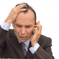 フィーバーフュー/ナツシロギク(夏白菊)エキス 400mg