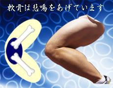 EgRXWCg iORT~ RhC`+ MSMZhj 