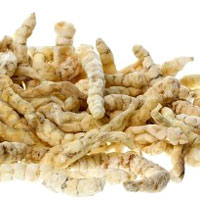 �h�N�^�[�Y�x�X�g �E���g�� �~���đ� 750mg �i�����_8���W�����j